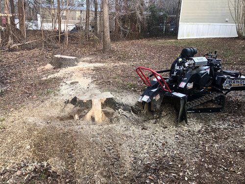 A stump grinder is cutting a tree stump in a yard.