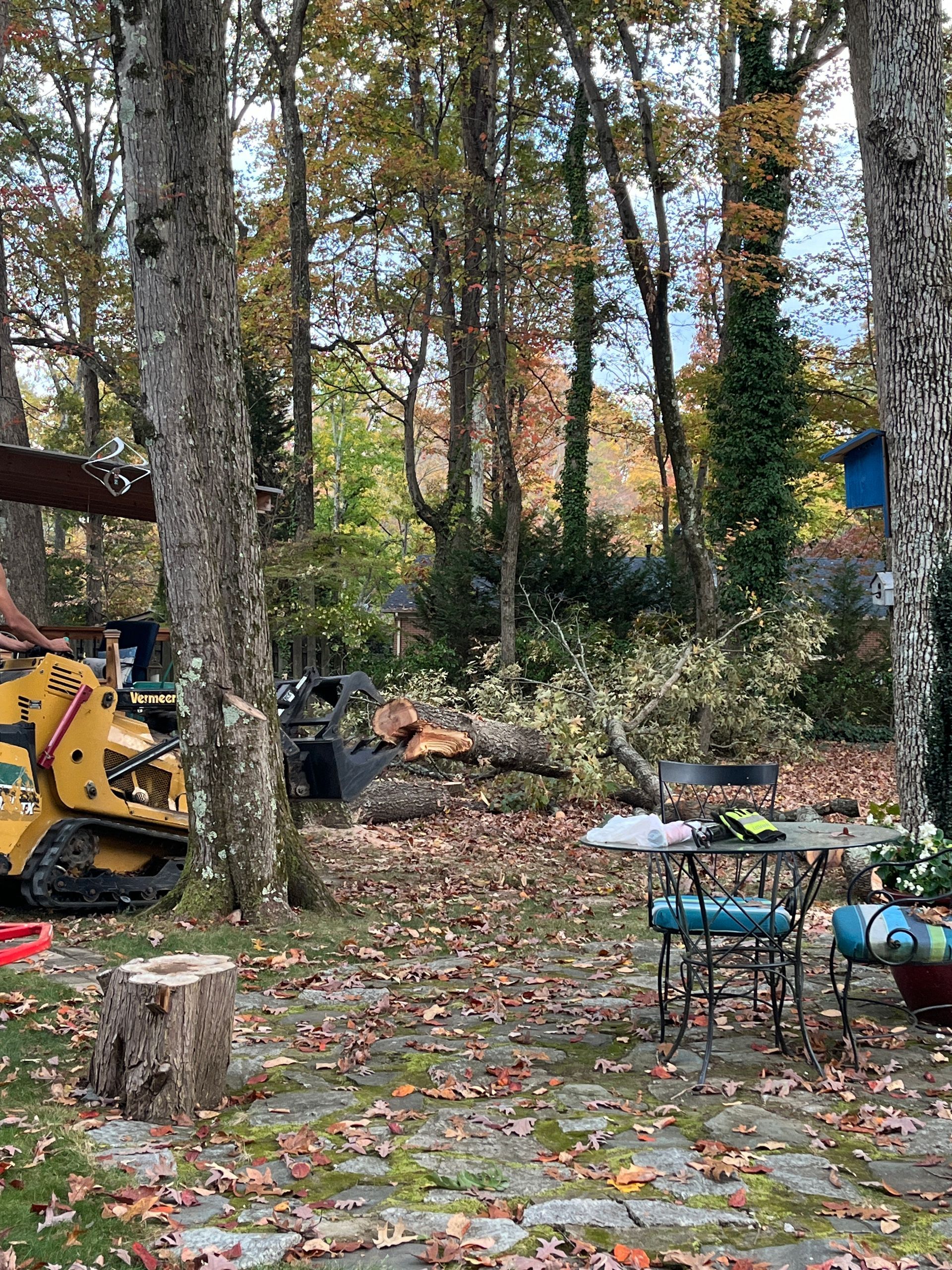 A tractor is cutting down a tree in a backyard.