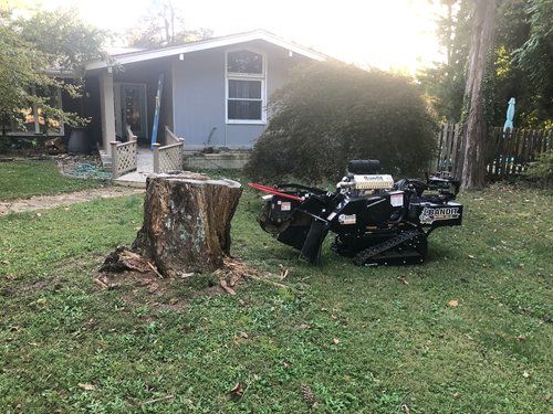 A tractor is sitting next to a tree stump in front of a house.
