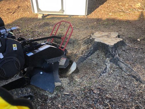 A tree stump is being removed by a machine.