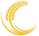 Spighe di grano dorate che formano una mezzaluna circolare su sfondo bianco