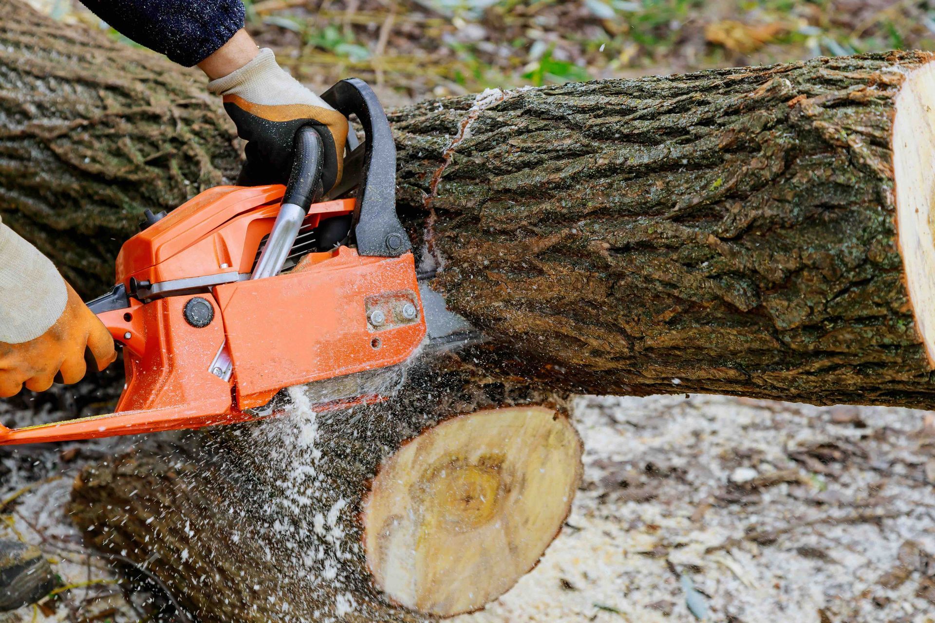 Person using an orange chainsaw to cut a log. Sawdust is flying.
