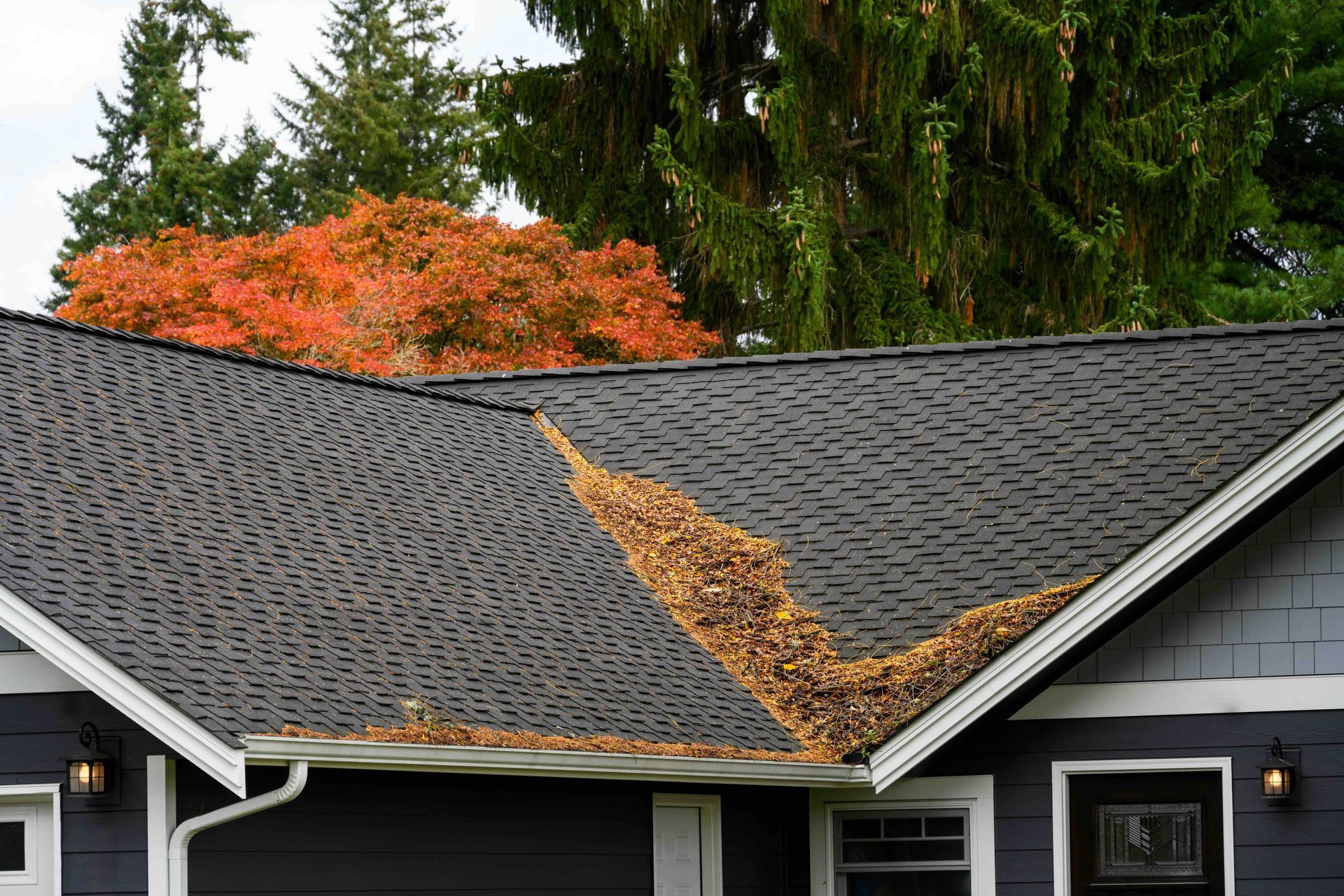 Roof covered in leaves, autumn foliage in the background.