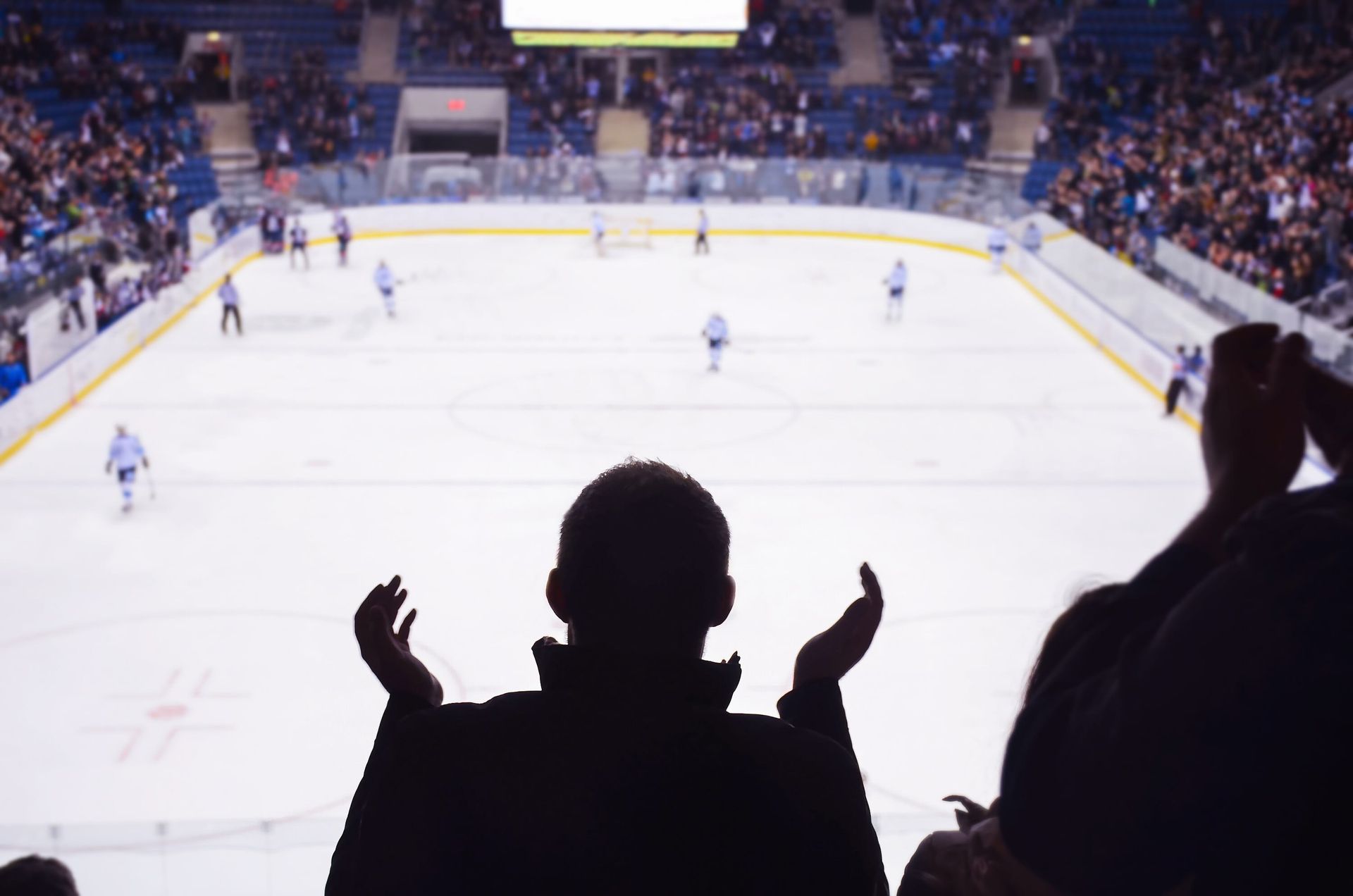 A group of people are watching a hockey game in a stadium.