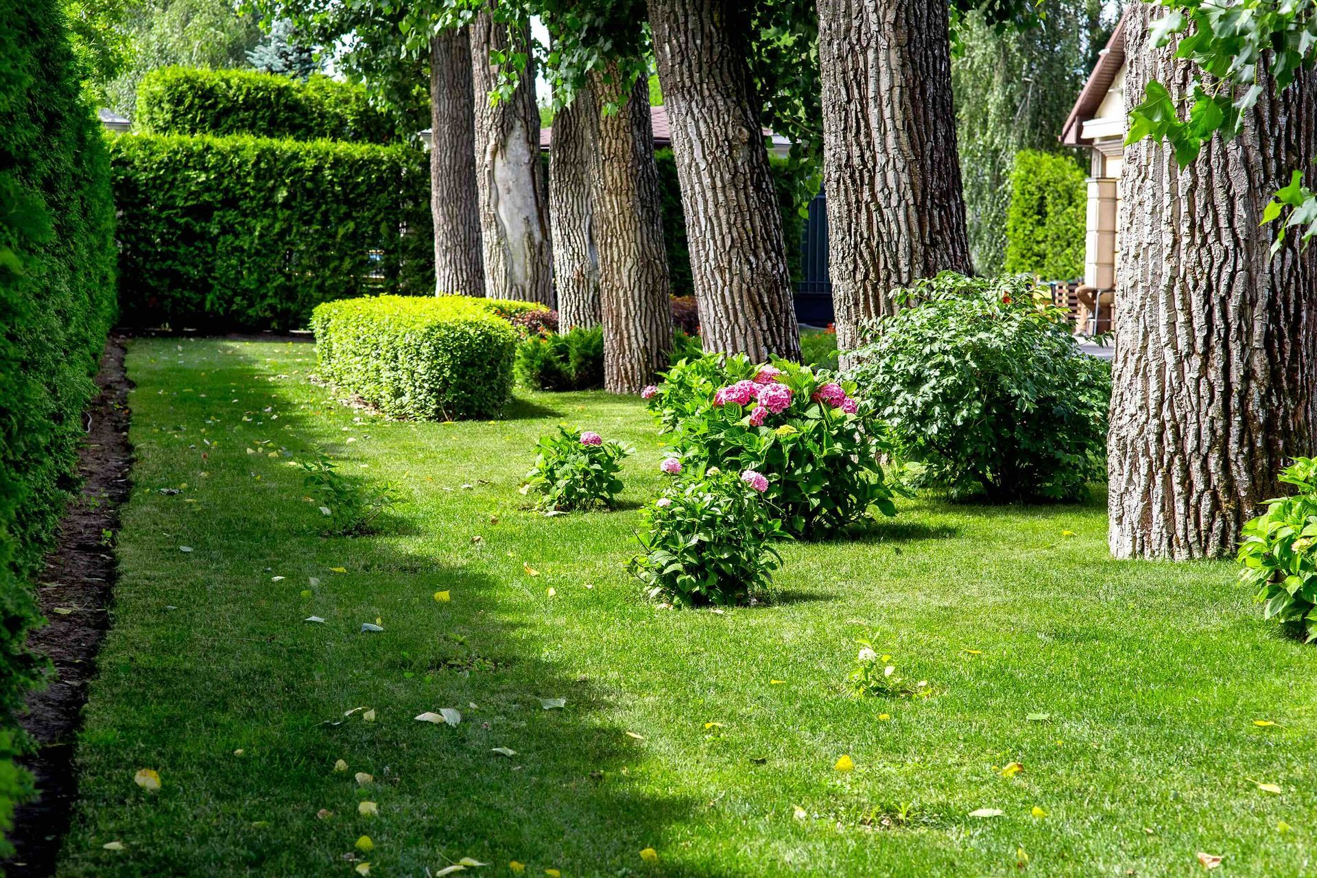 A lush green garden with trees , bushes , and flowers.