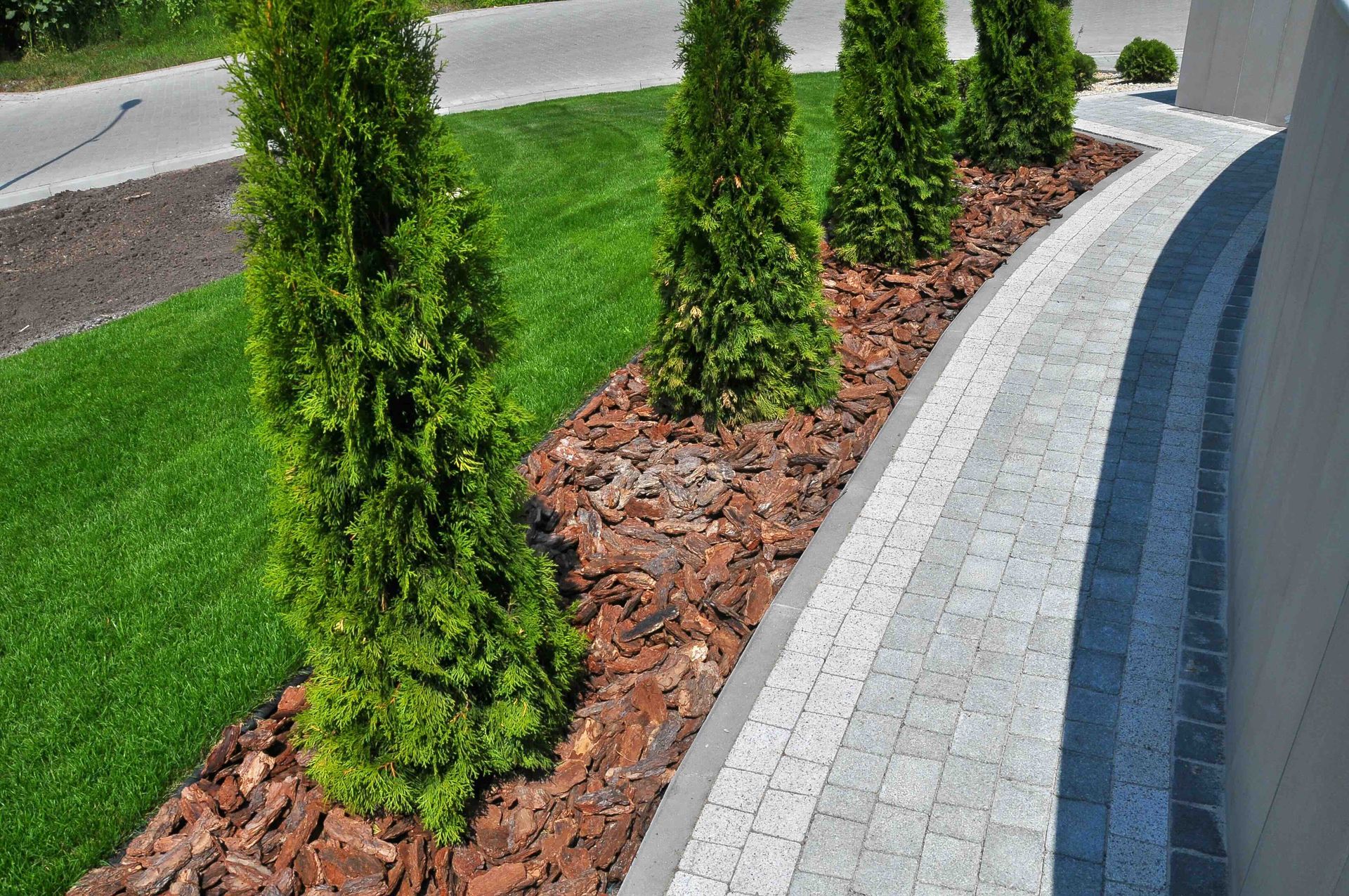 A row of trees in a garden next to a brick walkway.