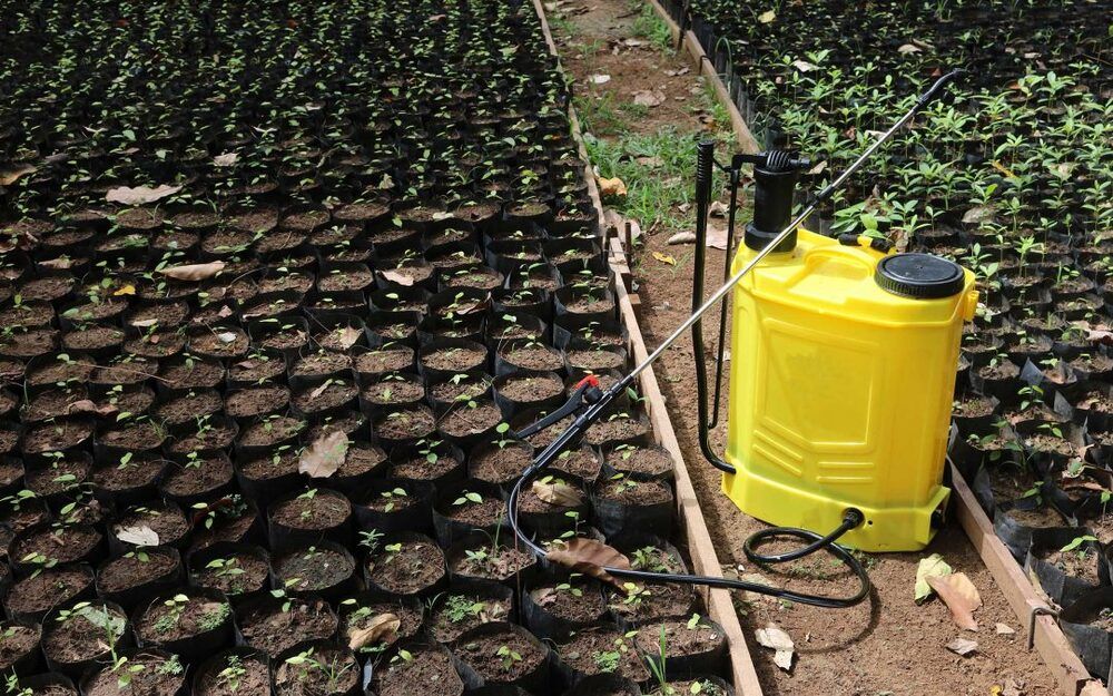 Attrezzature per il verde