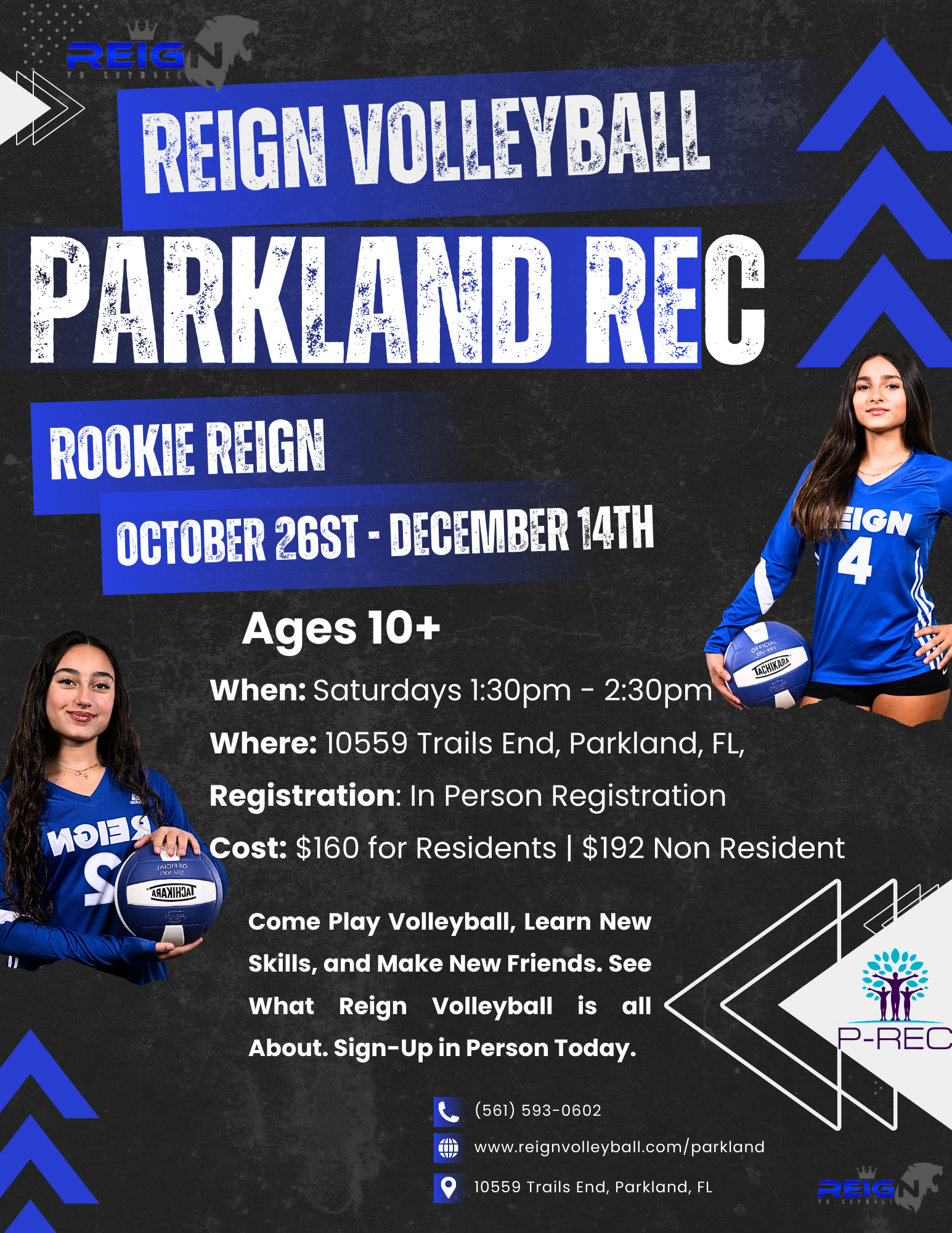 Recreational Volleyball Parkland