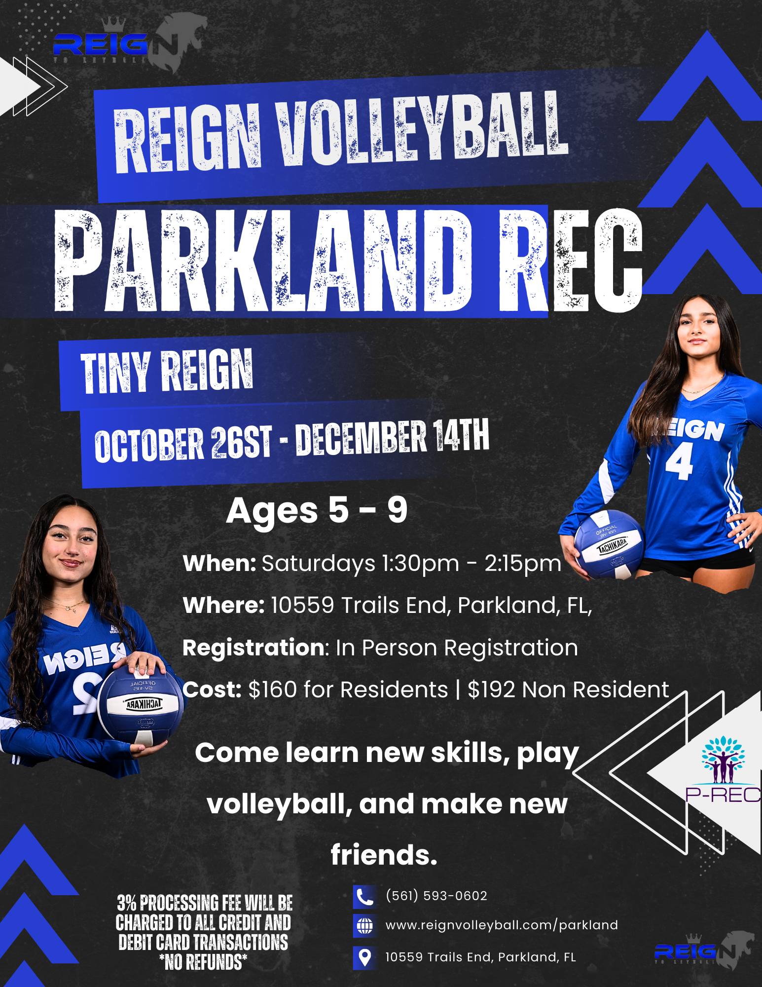 Recreational Volleyball Parkland
