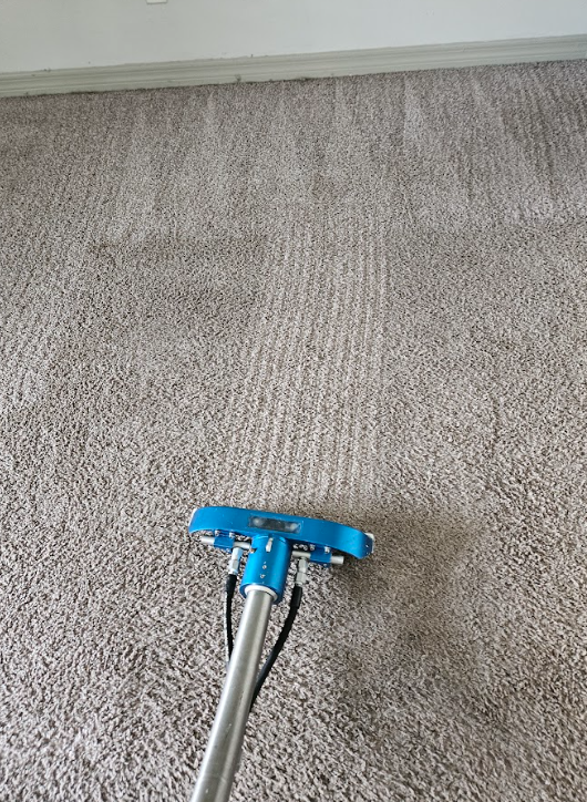 Carpet cleaning machine head on beige carpet near a wall baseboard