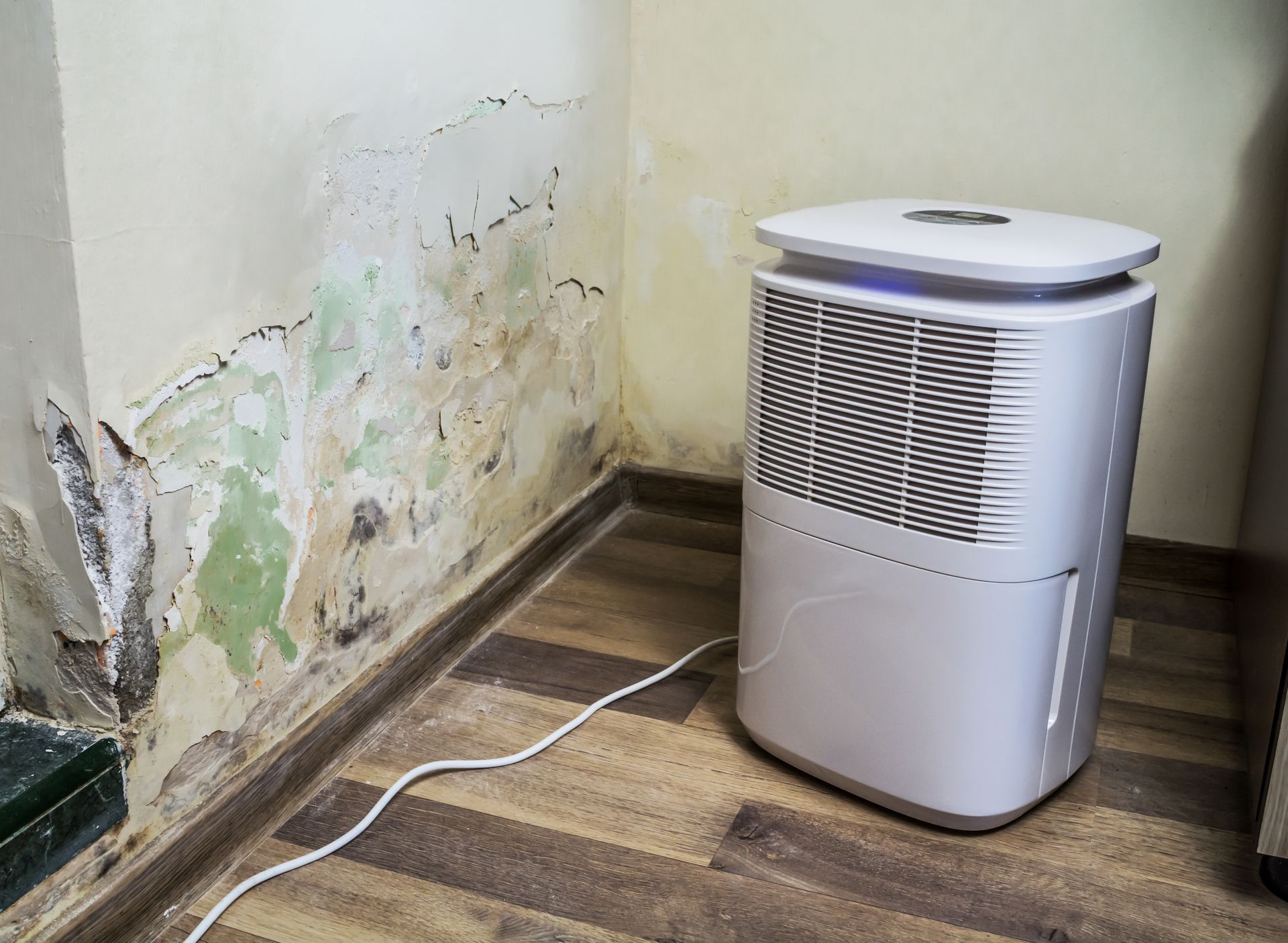 Dehumidifier beside a mold-damaged wall in a small room, with a power cord on the floor.