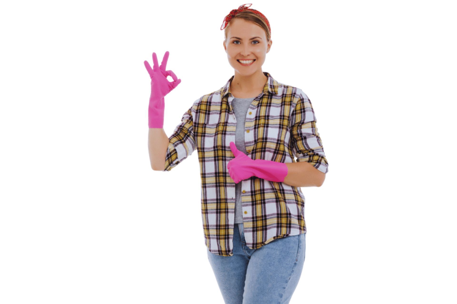Fortnightly House Cleaning Service
