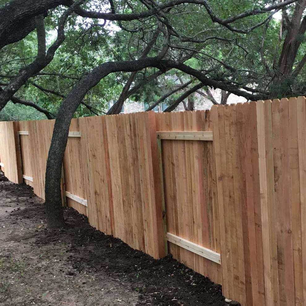 Wooden fence curving around a tree, with lush green trees in the background.