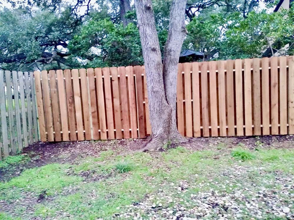 Wooden fence surrounds tree in a grassy yard.