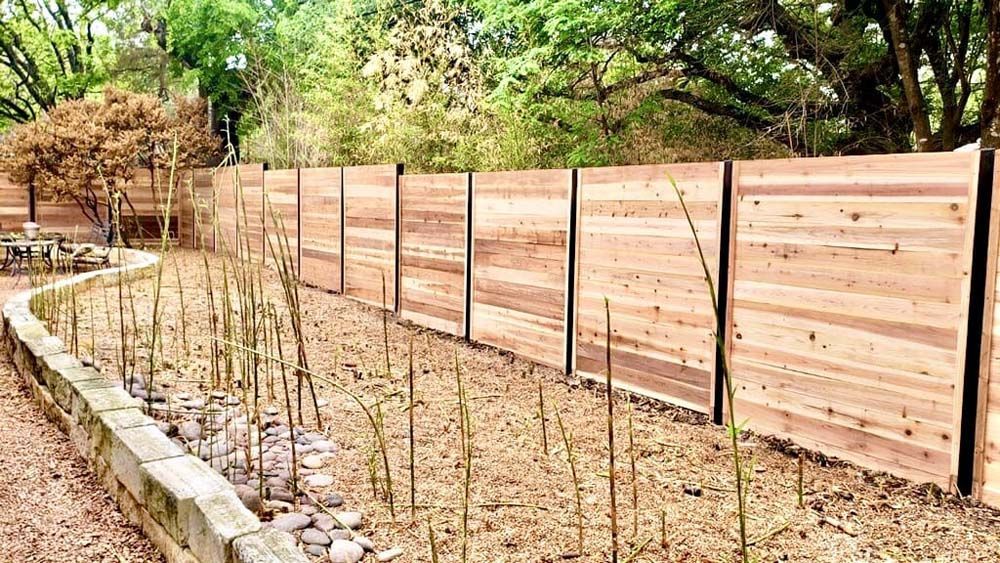 Wooden fence bordering a garden with tall, thin plants and trees in the background.