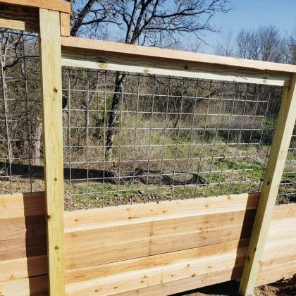 Wooden raised garden bed with wire mesh fence, outdoors.