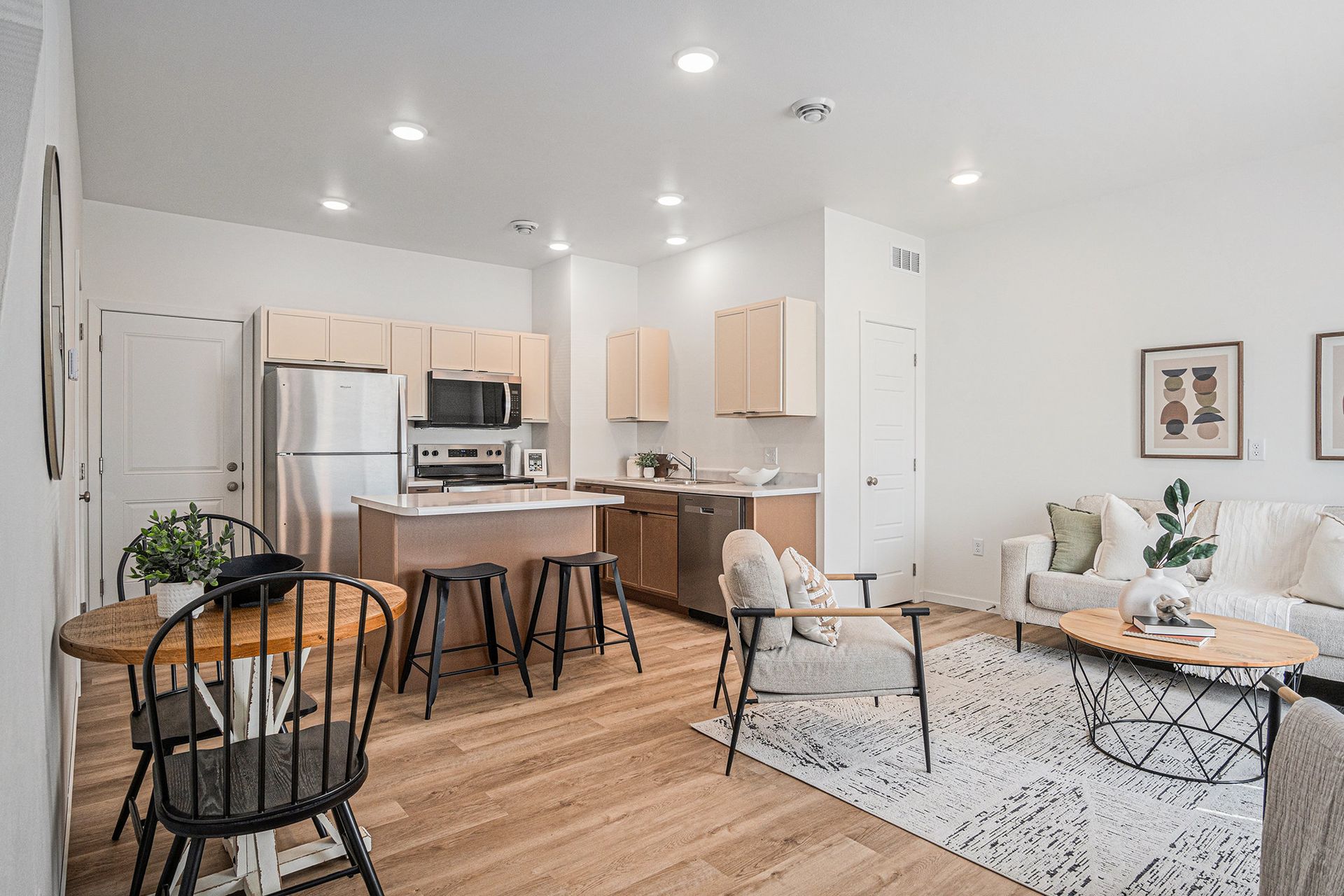 Living room and kitchen