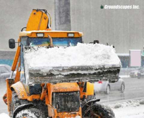 Our expert crew clears the path, turning snow-covered roads into safe passages.