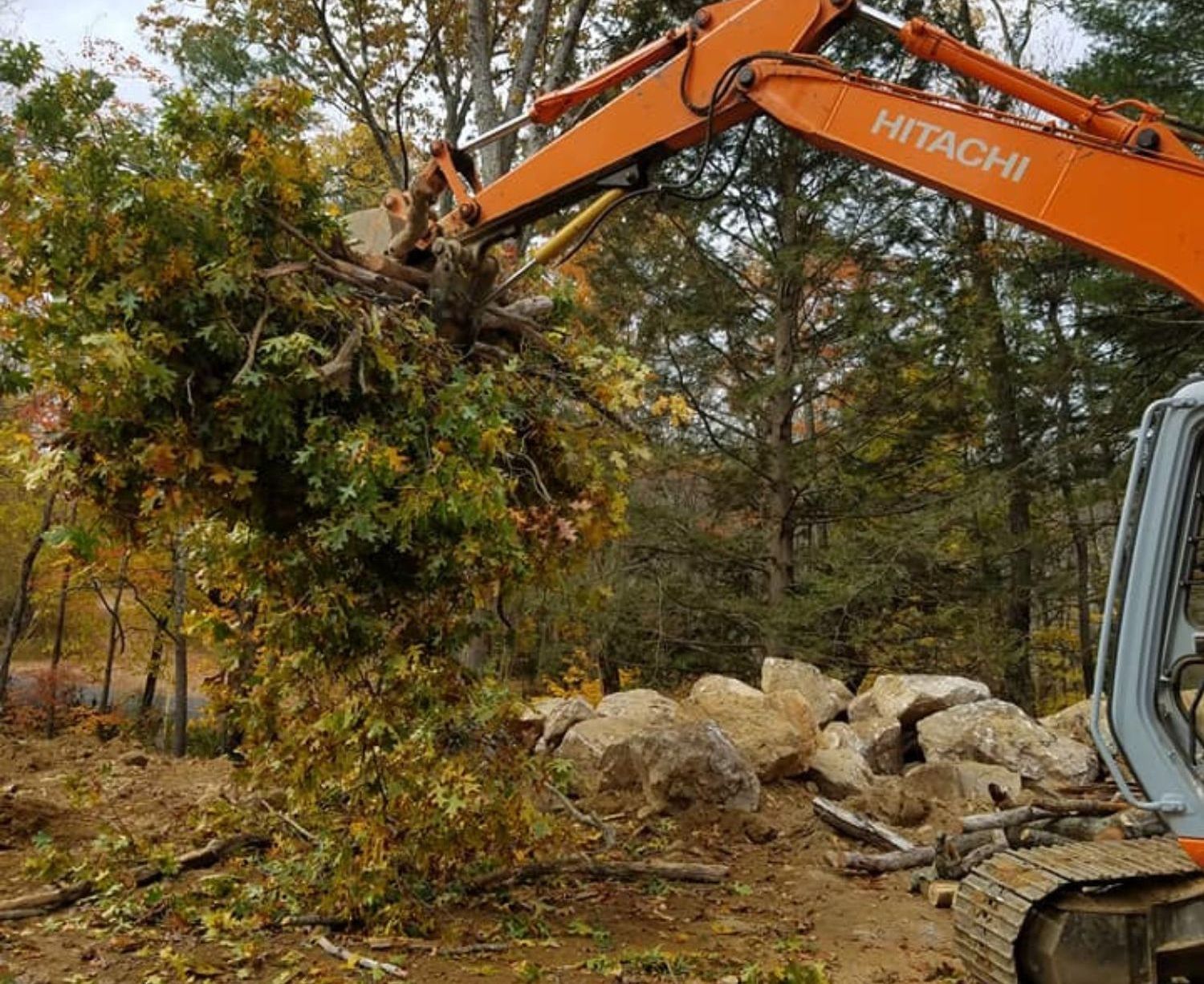 a truck removing a tree stump for land clearing and site development