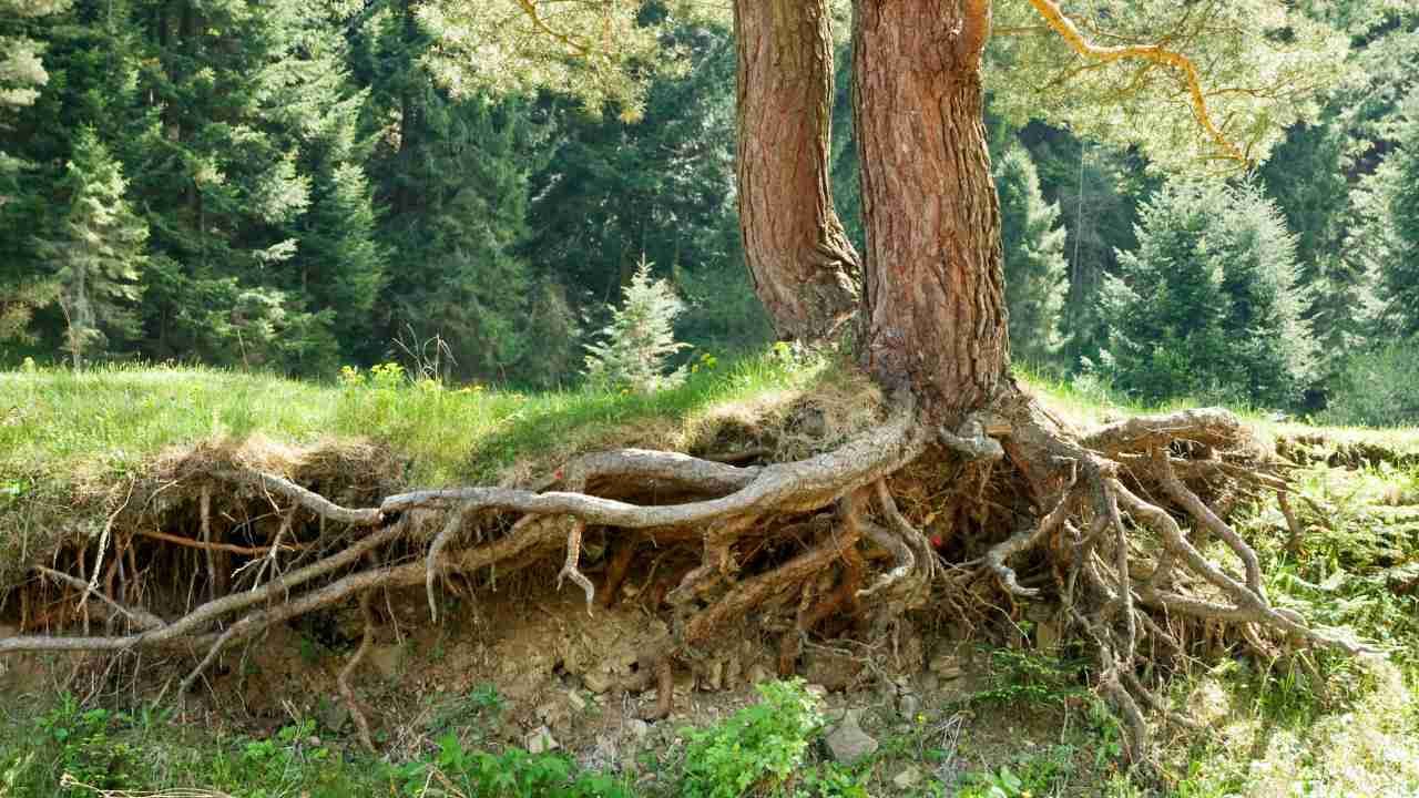Erosion control Spencer MA