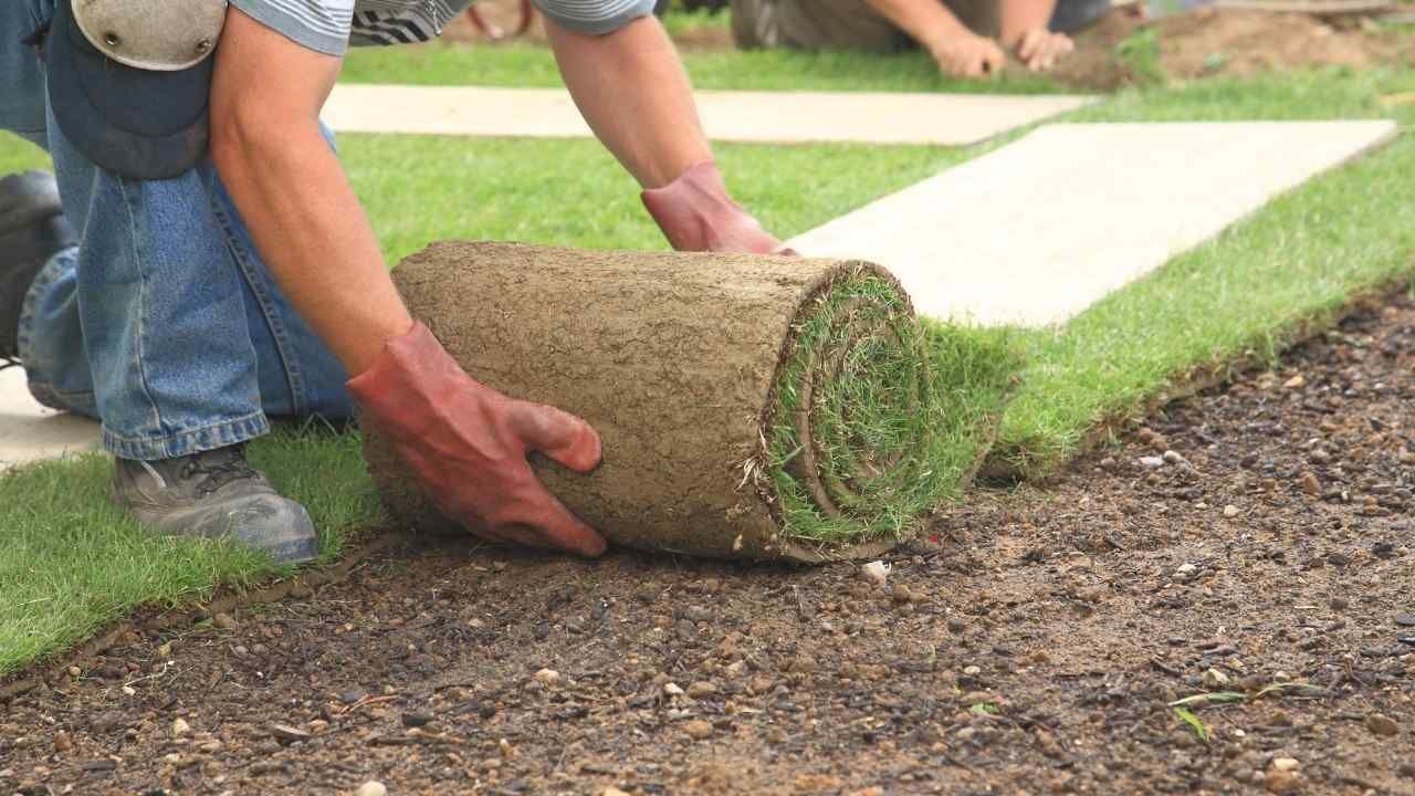 new lawn installation