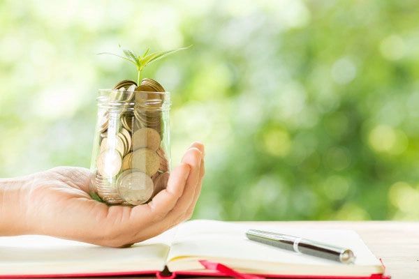 Hand holding a jar of coins with a sprouting plant, near a notebook and pen. Green, blurred background.