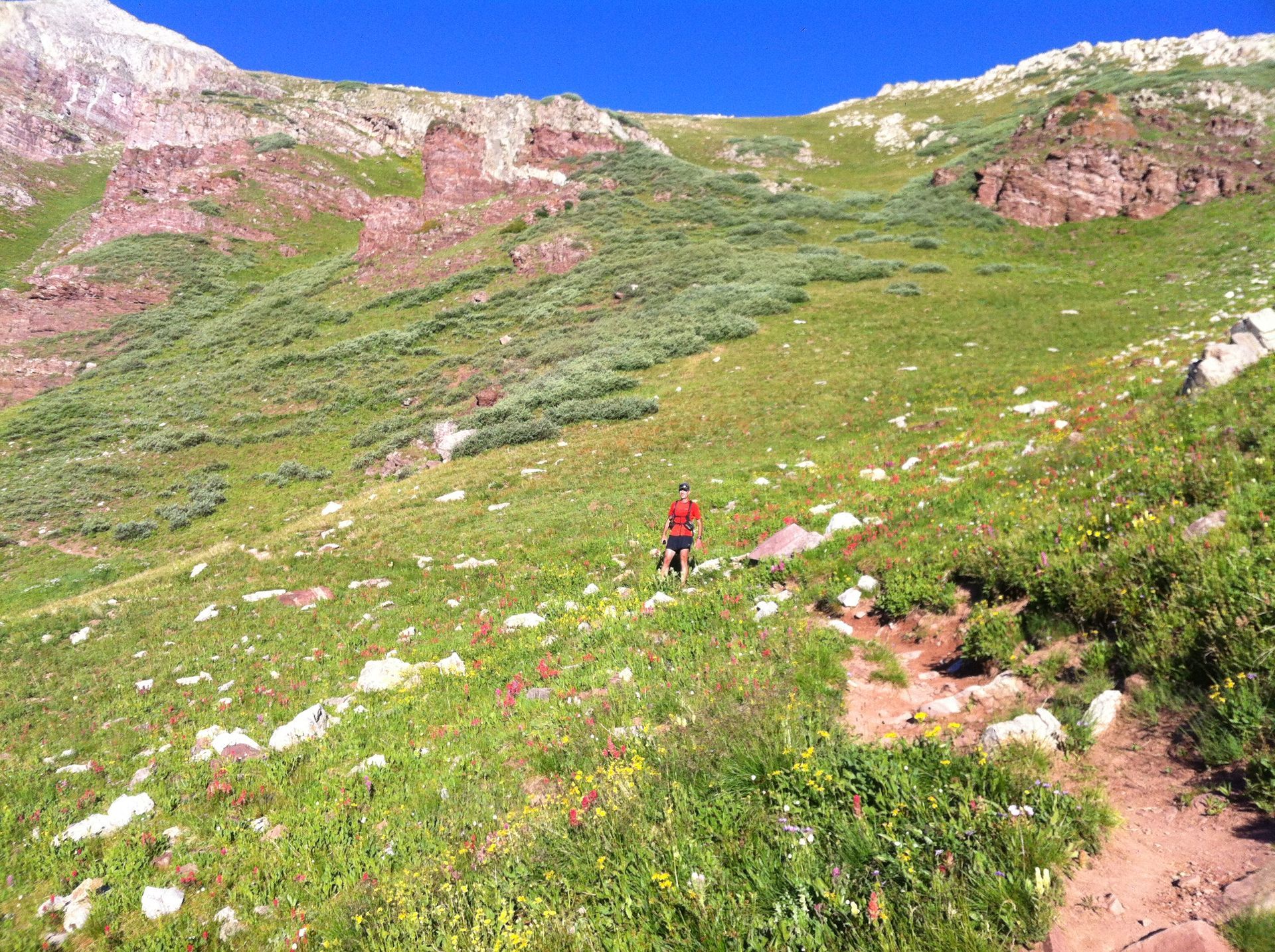 Hiker on a green, grassy mountain trail with wildflowers, tall rocks, and clear blue sky.