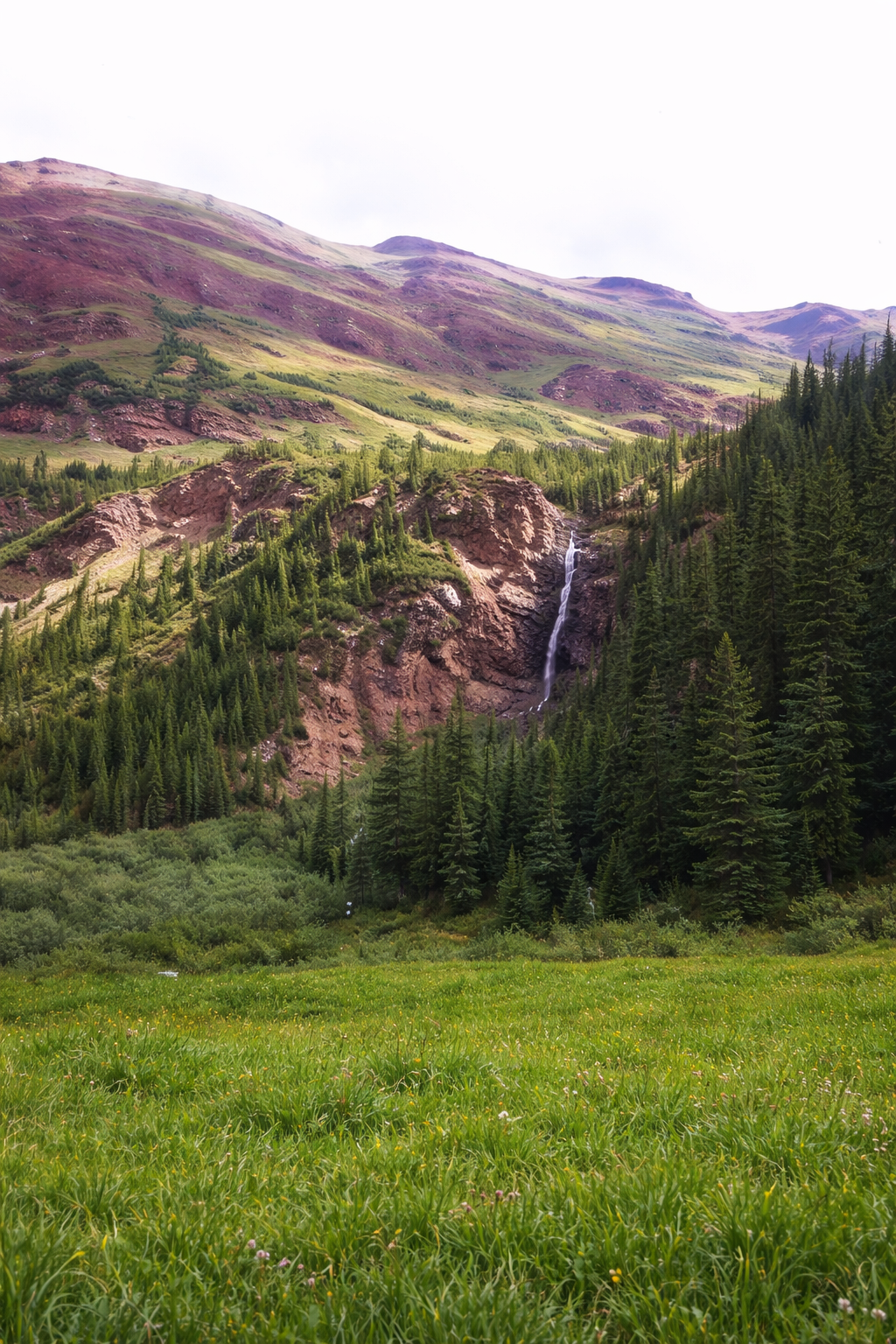 Green meadow and forest at the base of a mountain with a waterfall cascading down a cliffside.