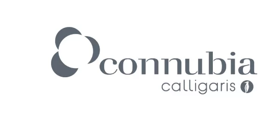 Logo Connubia Calligaris