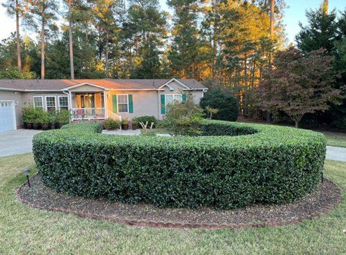 After Shrub Trimming — Fayetteville, NC — Picture Perfect Lawn Service LLC