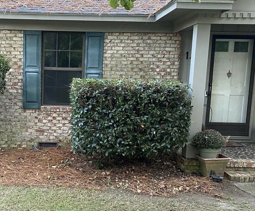 After Shrub Trimming — Fayetteville, NC — Picture Perfect Lawn Service LLC