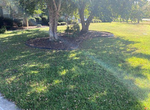 Before Mowing — Fayetteville, NC — Picture Perfect Lawn Service LLC