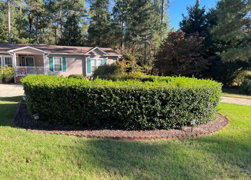 Before Shrub Trimming — Fayetteville, NC — Picture Perfect Lawn Service LLC