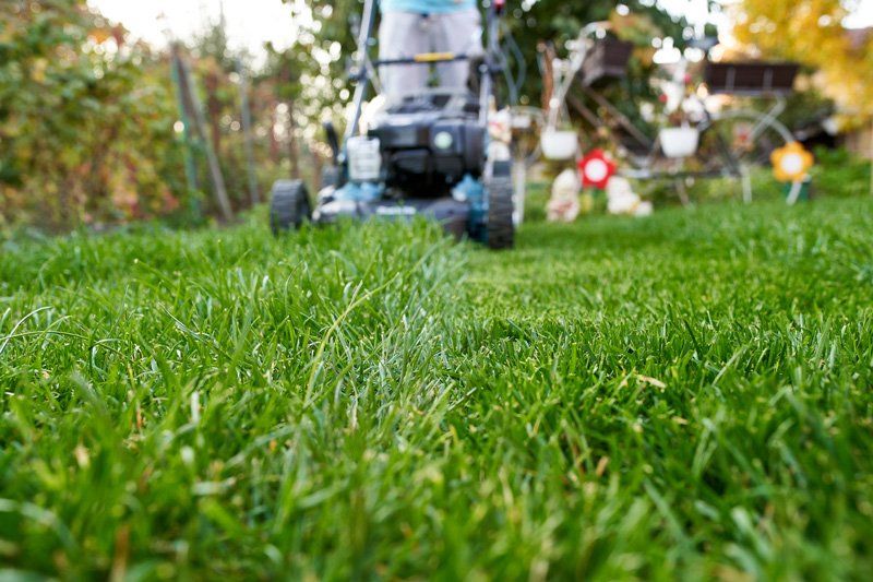 Lawn Mower — Fayetteville, NC — Picture Perfect Lawn Service LLC