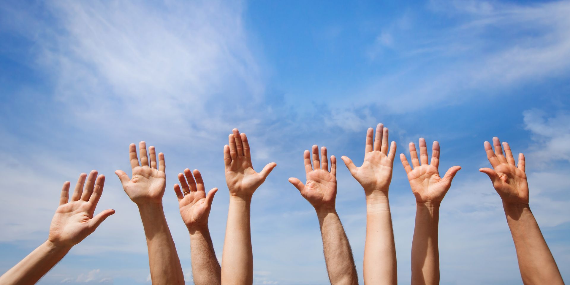 A group of people are raising their hands in the air.