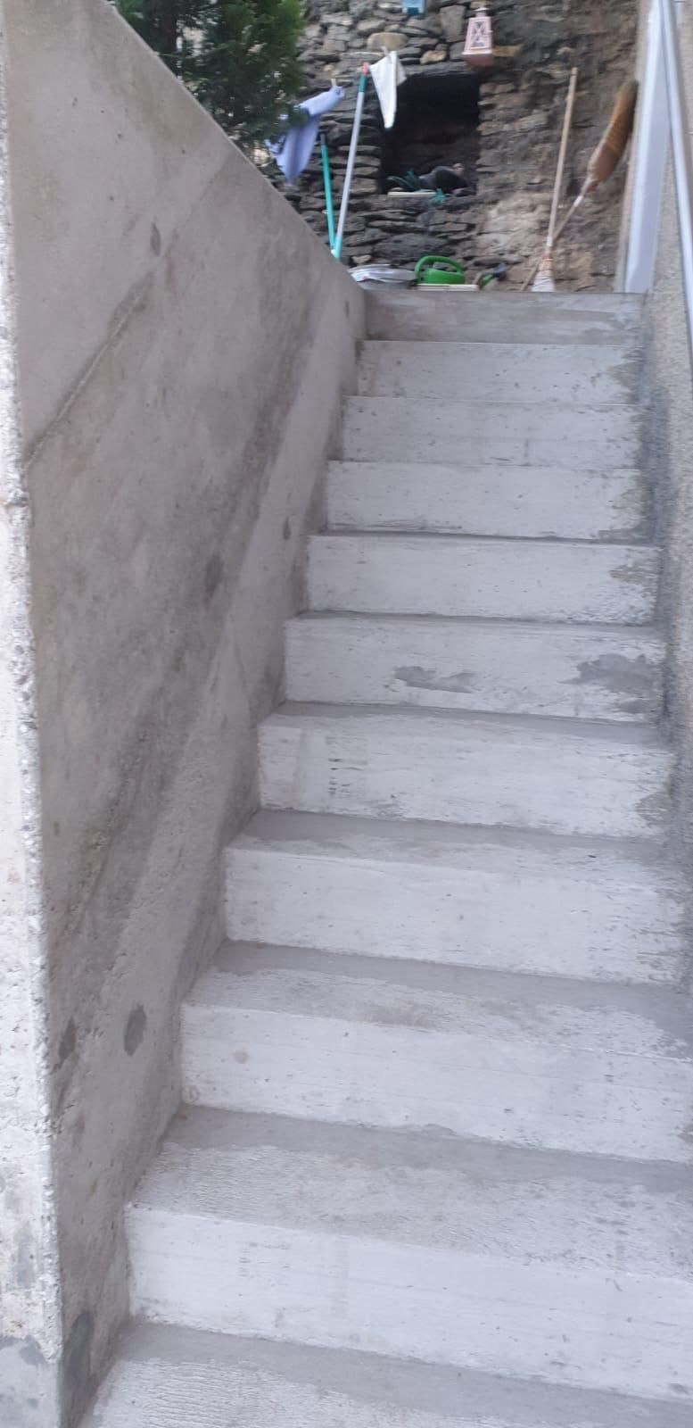 Un escalier extérieur en béton longe un mur de soutènement et mène au sommet d'une colline escarpée envahie par la végétation et les débris.