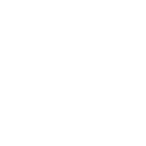 Road Block Icon