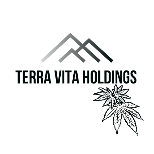 Terra Vita Holdings logo featuring a minimalist mountain design in orange, representing the company's brand identity.