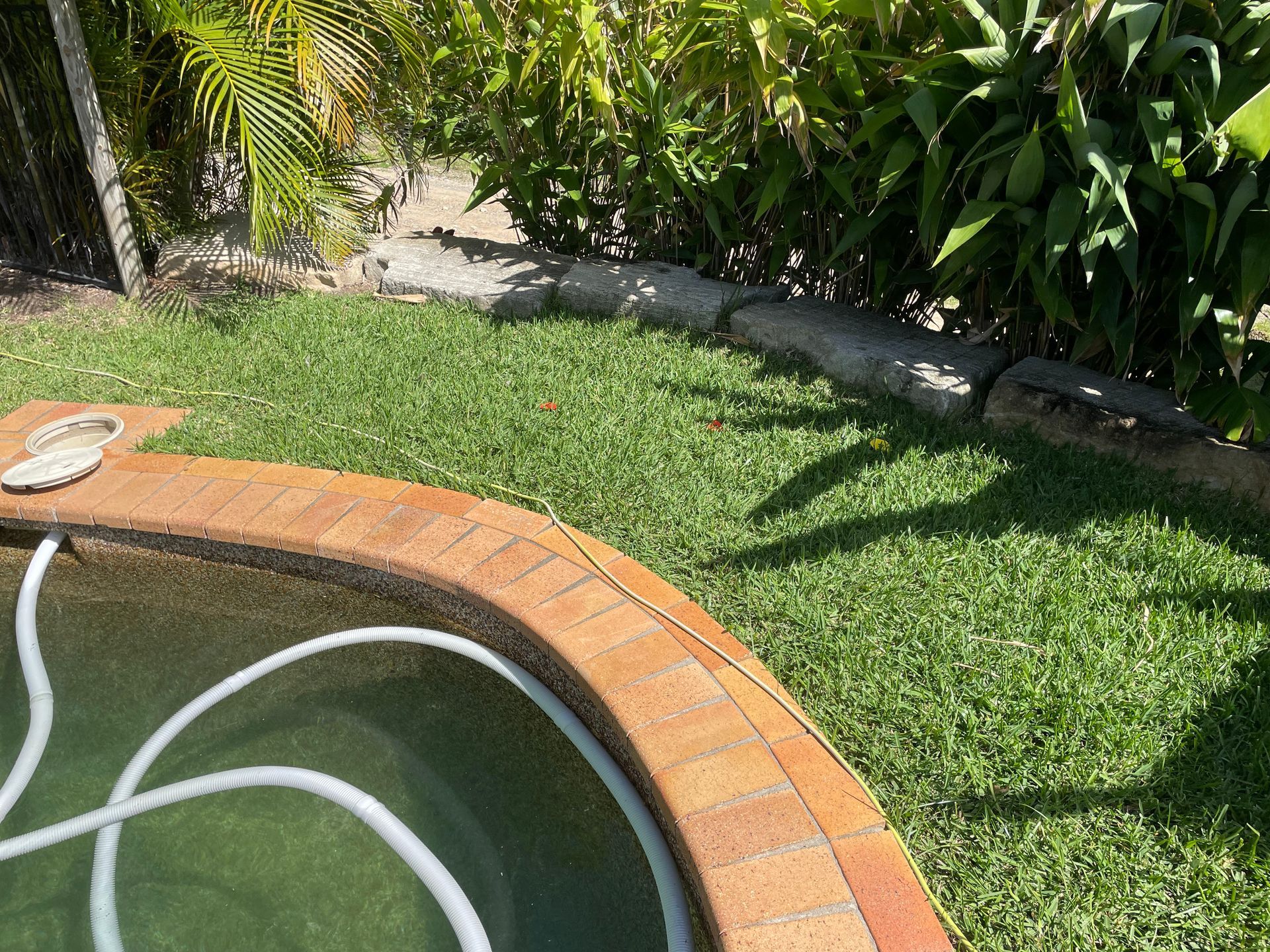 Brick-edged Pool With White Hose, Surrounded by Green Grass and a Border of Logs and Plants — Leak N Pool In Southport, QLD