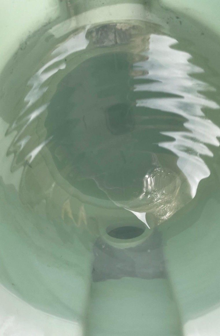A close-up, top-down view looking into a light green porcelain toilet bowl filled with water.
