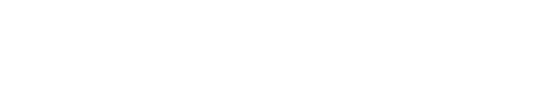 Silipint logo