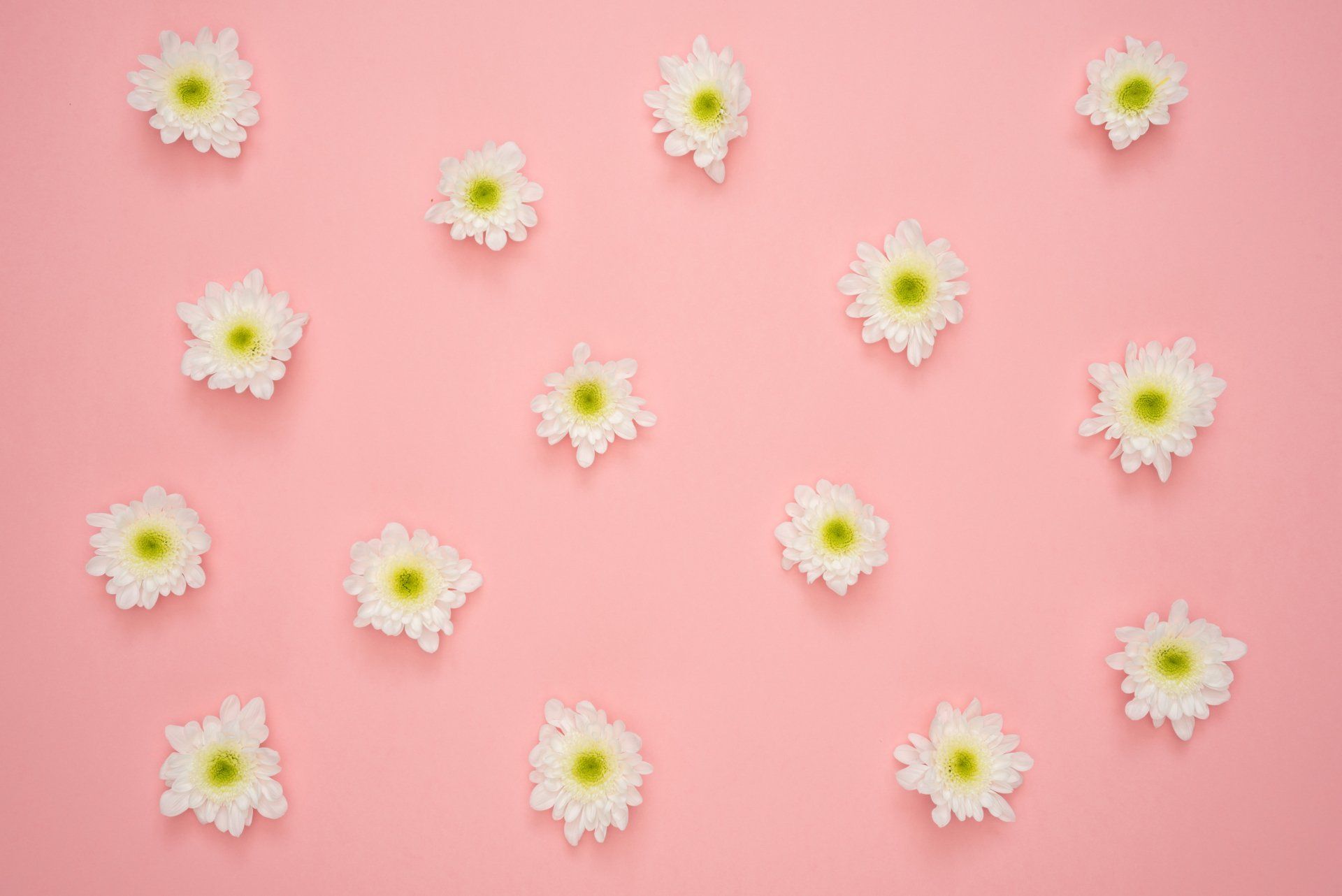 Wallpaper with a pink background and yellow flowers.