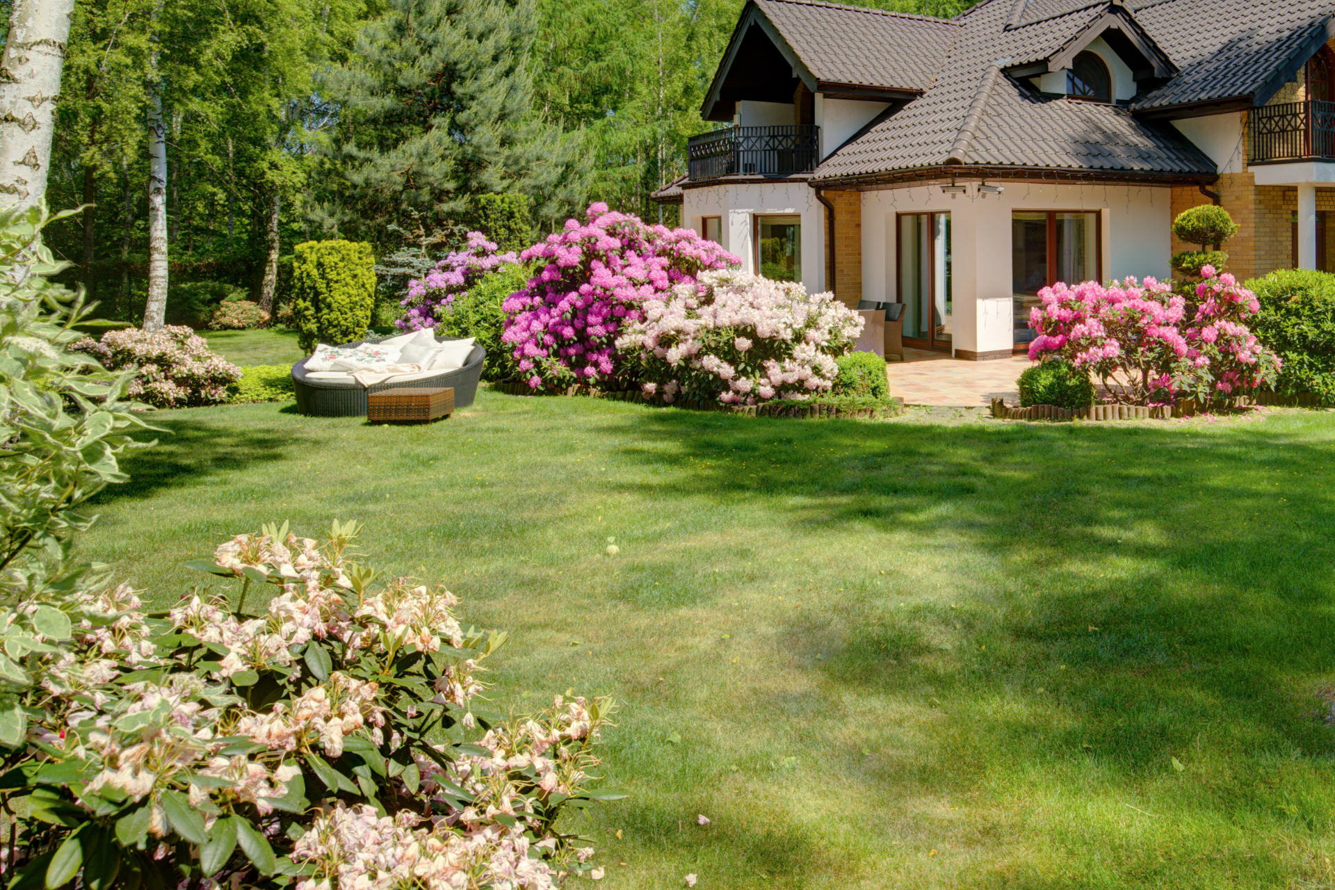 house with a front lawn