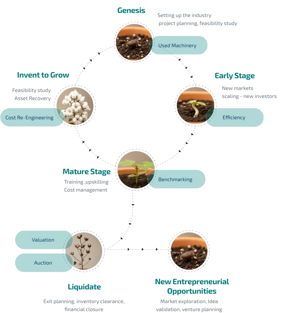 Texcoms Worldwide Life Cycle Process
