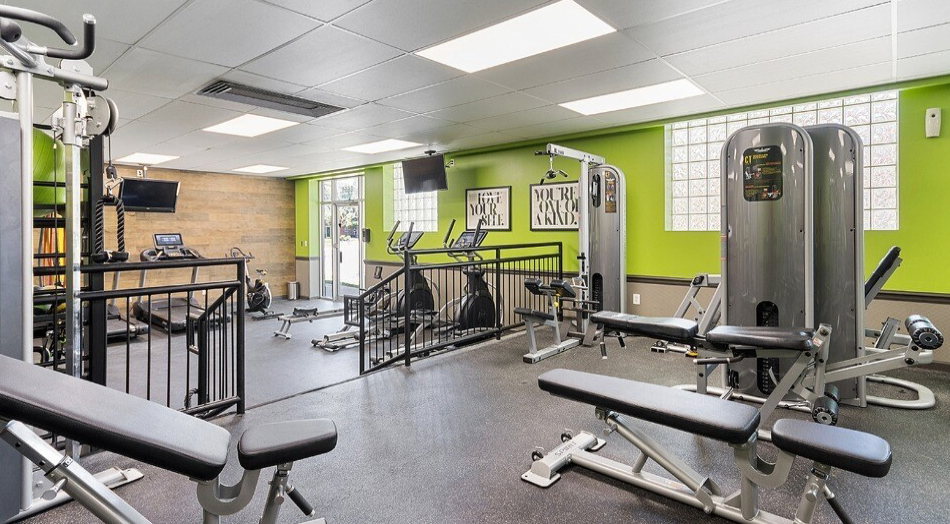 Gym with weight machines, cardio equipment, and benches; lime green and brown walls.