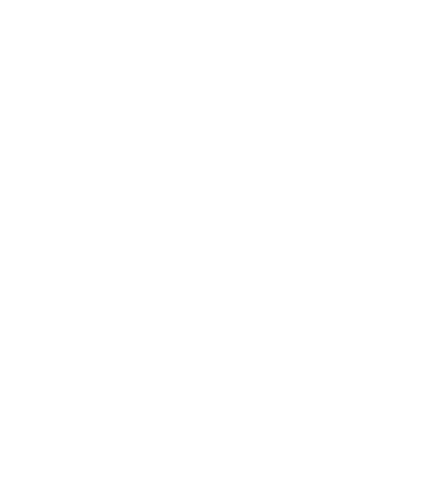 Black Wolf Roofing