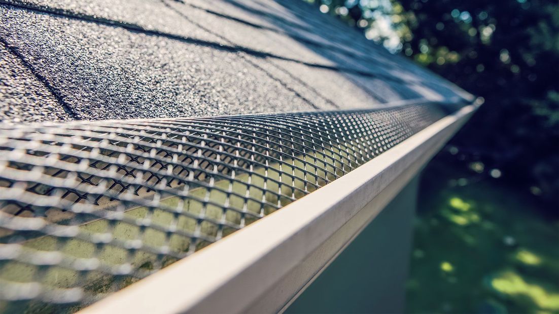 Close-up of a roof gutter and mesh guard along the edge of a shingled roof, with trees below.
