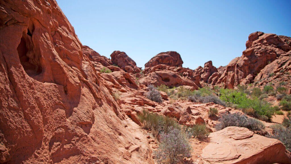 Ride N Drive OffRoad Rentals Ocotillo Wells Tours and Rentals