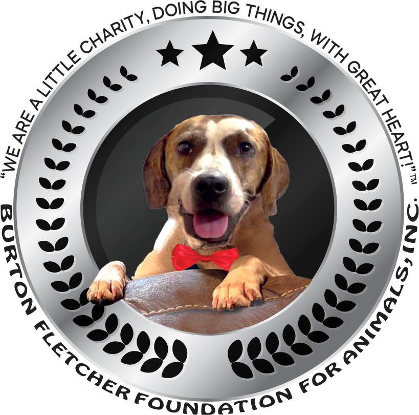 A picture of a dog in a silver circle that says burton fletcher foundation for animals