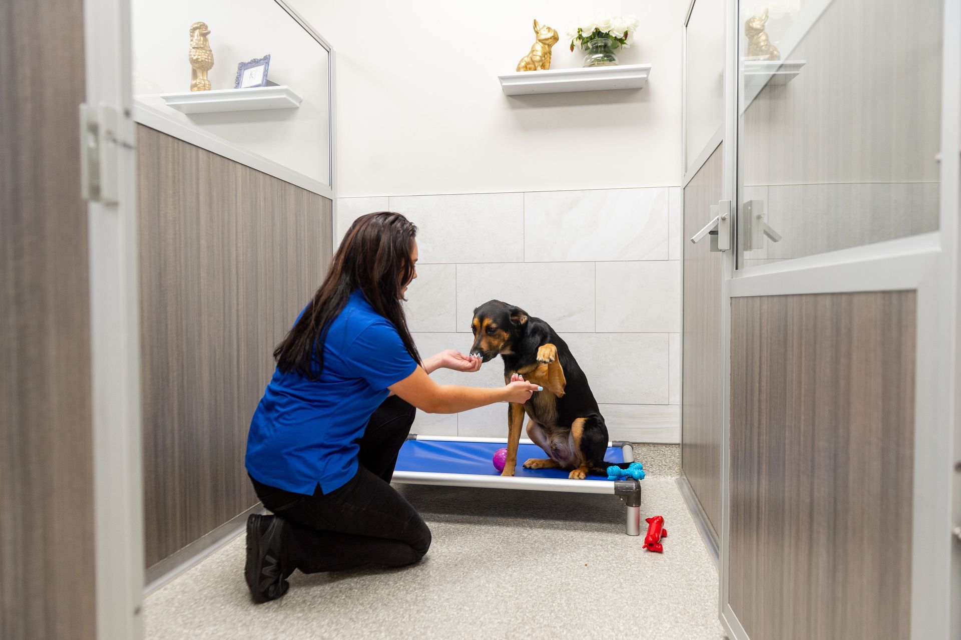 A woman is kneeling down next to a dog in a dog kennel.